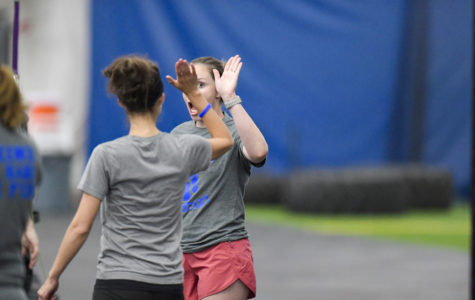 Softball College Summer Softball Memberships