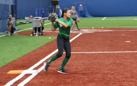 Bo Jackson Softball