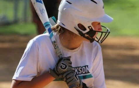Advanced Softball Hitting Academy