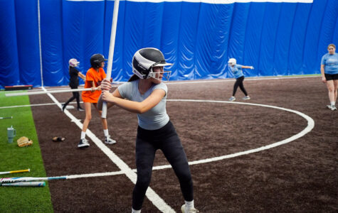 Softball Winter Hitting Academy
