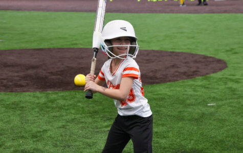 Softball Offseason Training