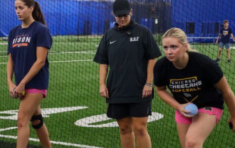 B.S.F. Fastpitch