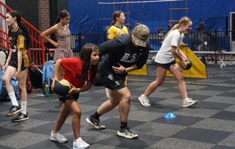 Youth Softball Pitching Clinic